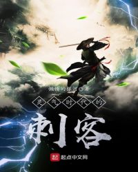 灵气时代的刺客章节列表