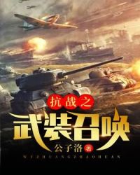 抗战之武装召唤章节列表