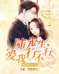 暖婚厚爱：陆先生，爱我行不行章节列表