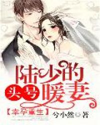 幸孕重生：陆少的头号暖妻章节列表