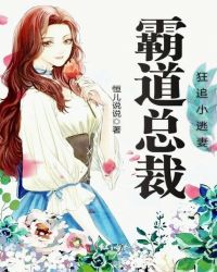 霸道总裁狂追小逃妻章节列表