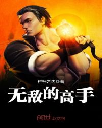 无敌的高手章节列表