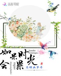 如果时光会累章节列表