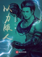 以力服人章节列表