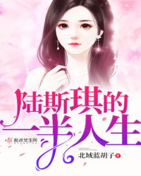 陆斯琪的一半人生章节列表