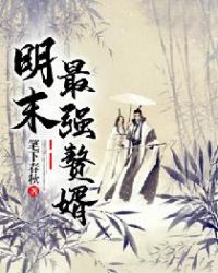 明末最强赘婿章节列表