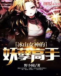 冰山女神的妖孽高手章节列表