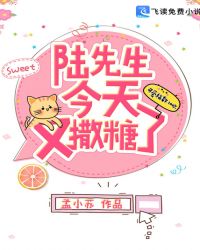 陆先生今天又撒糖了章节列表