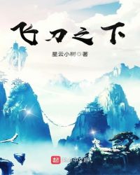 飞刀之下章节列表