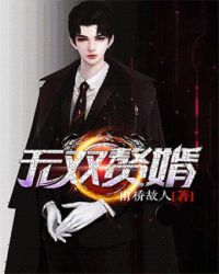 无双赘婿章节列表