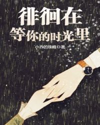徘徊在等你的时光里章节列表