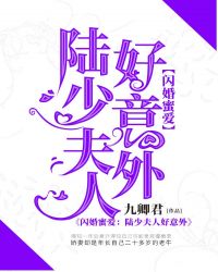 闪婚蜜爱：陆少夫人好意外章节列表