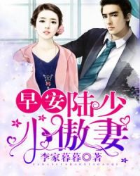 早安，陆少小傲妻章节列表