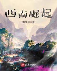 西南崛起章节列表