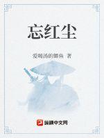 忘红尘章节列表
