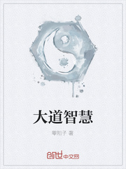 大道智慧章节列表