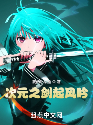 次元之剑起风吟章节列表