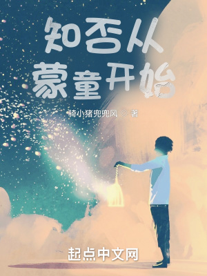 知否从蒙童开始章节列表