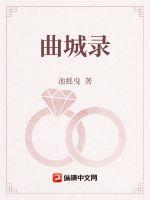 曲城录章节列表