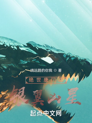 绝世唐门之银翼凶星章节列表