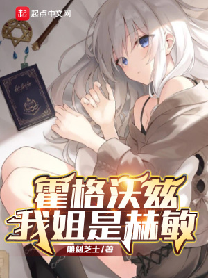 霍格沃兹，我姐是赫敏章节列表