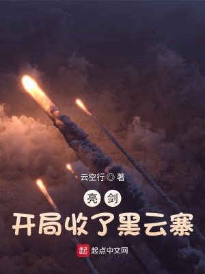 亮剑：开局收了黑云寨章节列表