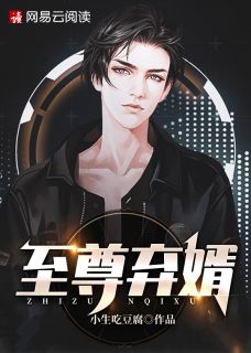 至尊弃婿章节列表