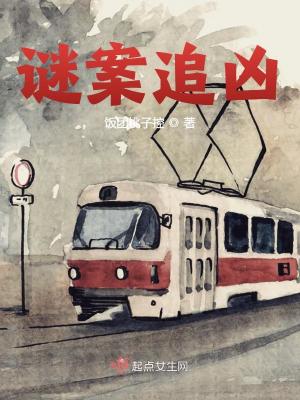 谜案追凶章节列表