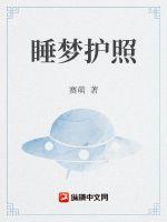 睡梦护照章节列表