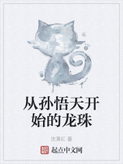 从孙悟天开始的龙珠章节列表