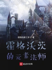 霍格沃茨的元素法师章节列表