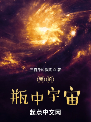 我的瓶中宇宙章节列表