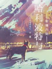 哈利波特与军情六处章节列表