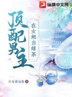 顶配男主在女频当绿茶章节列表