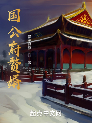 国公府赘婿章节列表