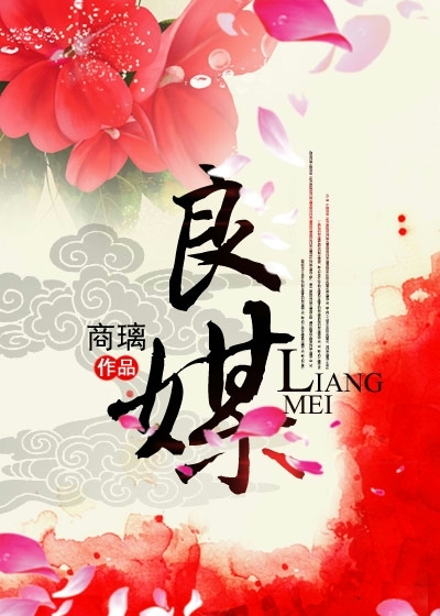 良媒章节列表