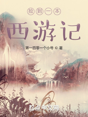 捡到一本西游记章节列表