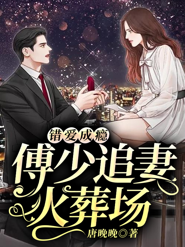 错爱成瘾：傅少追妻火葬场傅沛林婉婉章节列表