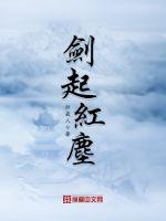 剑起红尘章节列表