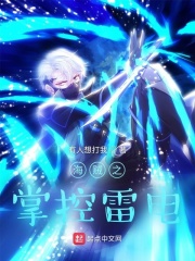 海贼之掌控雷电章节列表