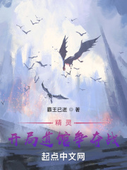 精灵：开局道馆争夺战章节列表