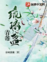 青莲琉璃盏章节列表