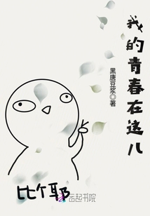 我的青春在这儿章节列表