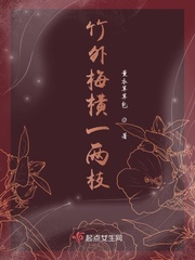 竹外梅横一两枝章节列表