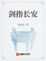 剑指长安章节列表