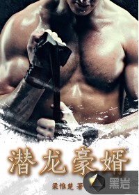 潜龙豪婿章节列表