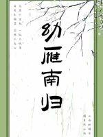 幼雁南归章节列表