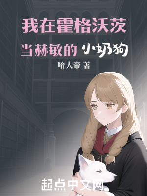 我在霍格沃茨当赫敏的小奶狗章节列表