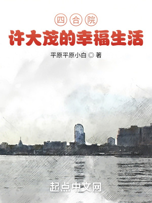 四合院许大茂的幸福生活章节列表