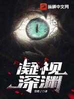 凝视深渊章节列表